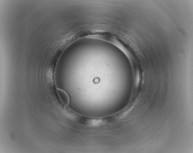 X0000116010575200911191527