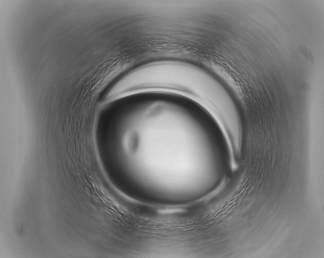 X0000116010577200911191527