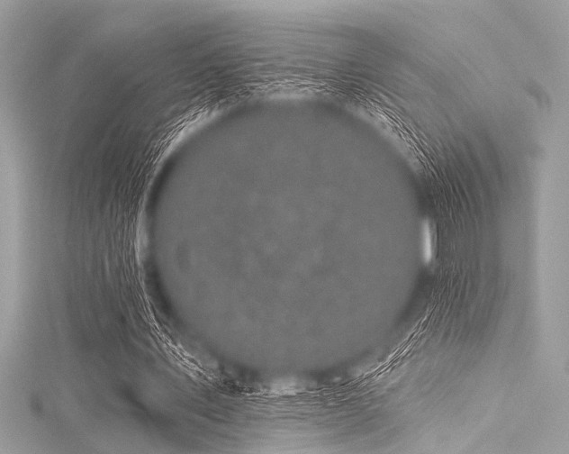 X0000116010579200911191527