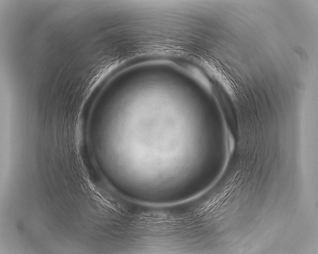 X0000116010580200911191527