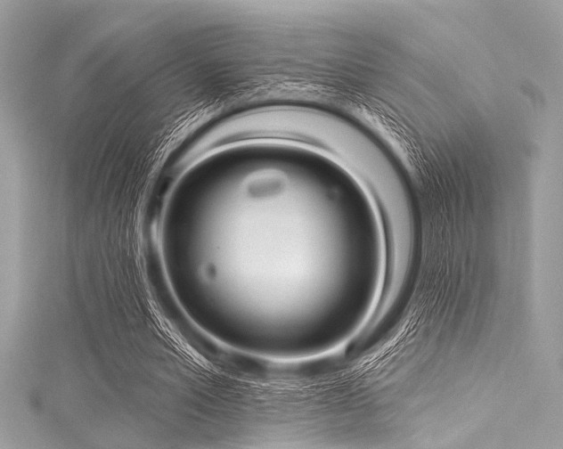 X0000116010581200911191527