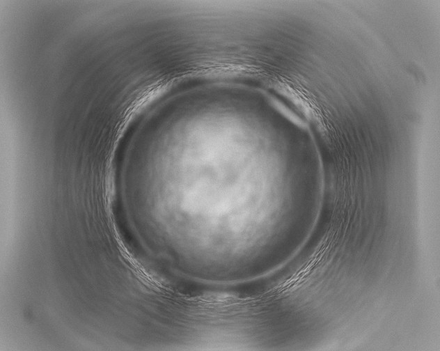 X0000116010582200911191527