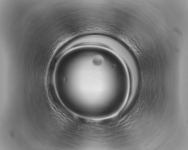 X0000116010583200911191527