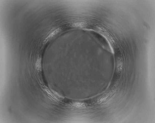 X0000116010585200911191527