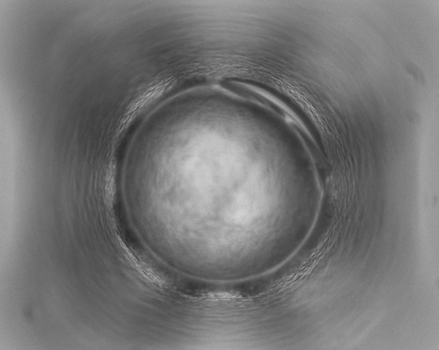 X0000116010586200911191527