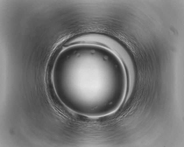 X0000116010587200911191527