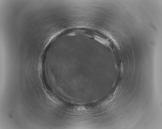 X0000116010588200911191527