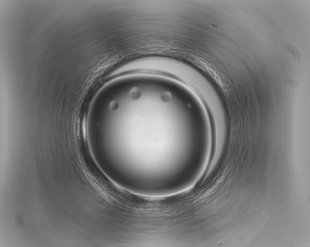 X0000116010589200911191527