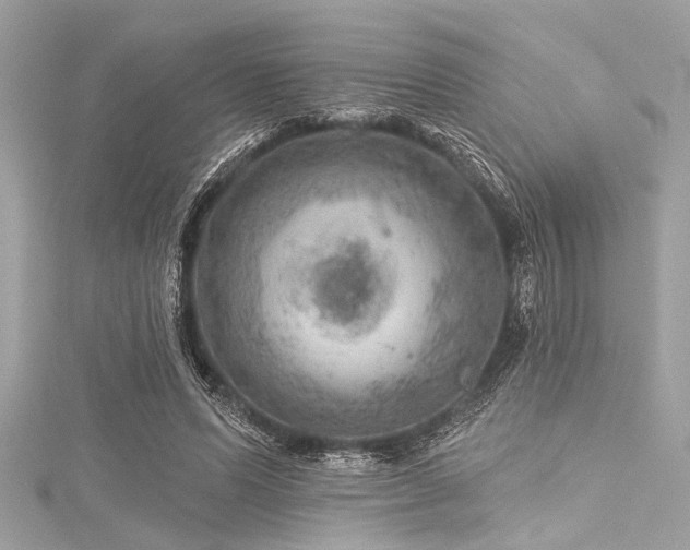 X0000116010591200911191527