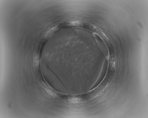 X0000116010593200911191527