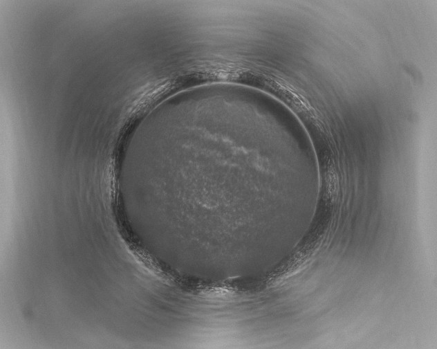 X0000116010594200911191527