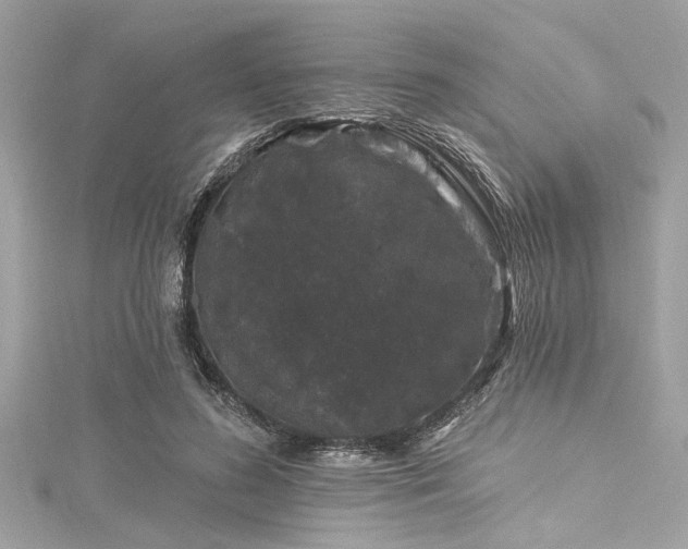 X0000116010596200911191527