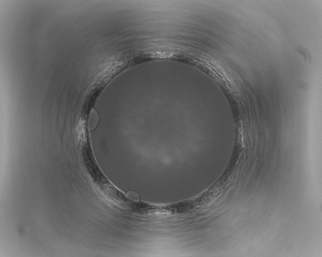 X0000116010598200911191527