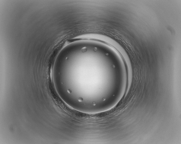 X0000116010599200911191527