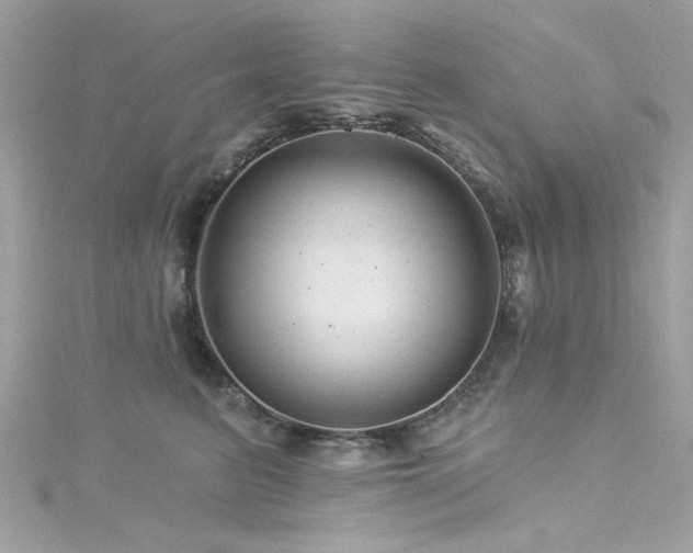 X0000116010615200911191526