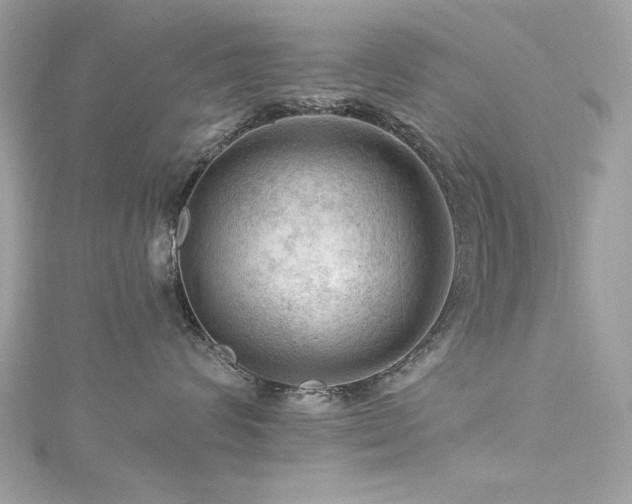 X0000116010624200911191526