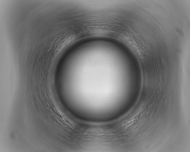 X0000116010625200911191526