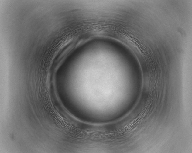 X0000116010626200911191526