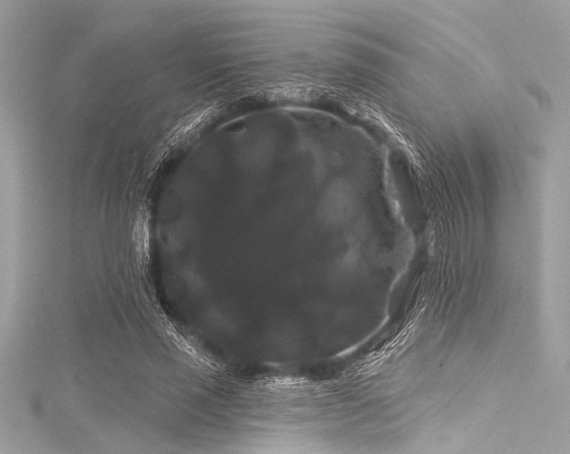 X0000116010637200911191526