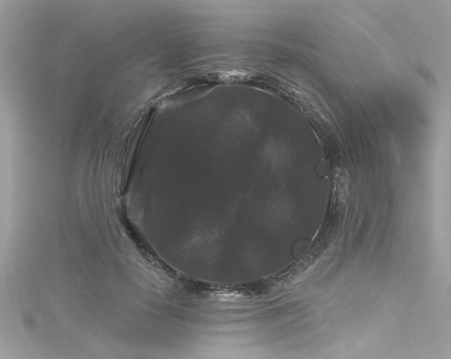 X0000116010650200911191526