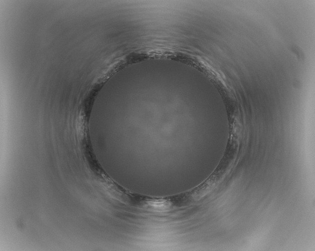 X0000116010659200911191526