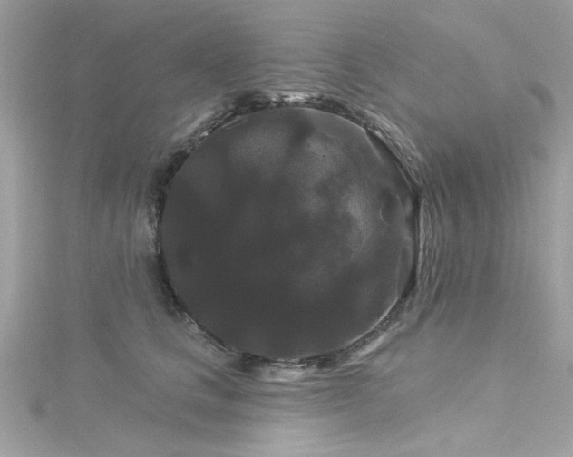 X0000116010661200911191526