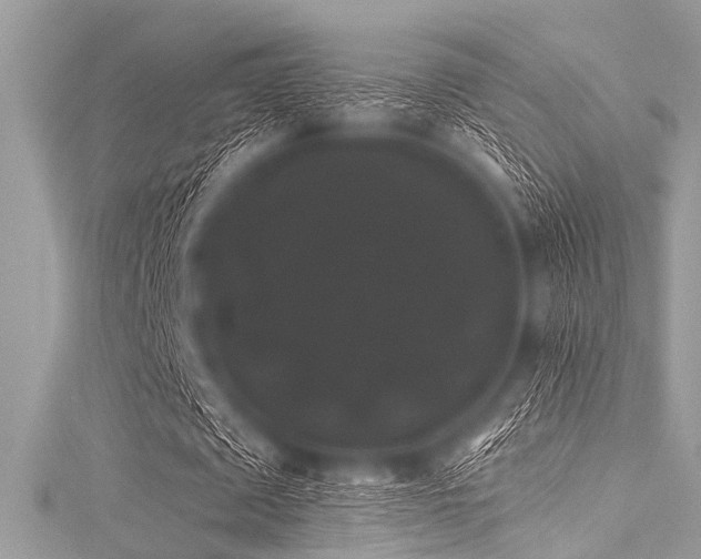 X0000116010673200911191526