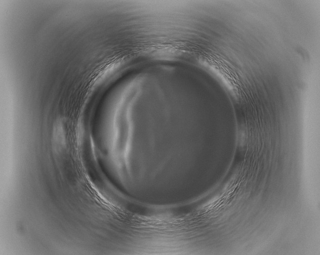 X0000116010674200911191526