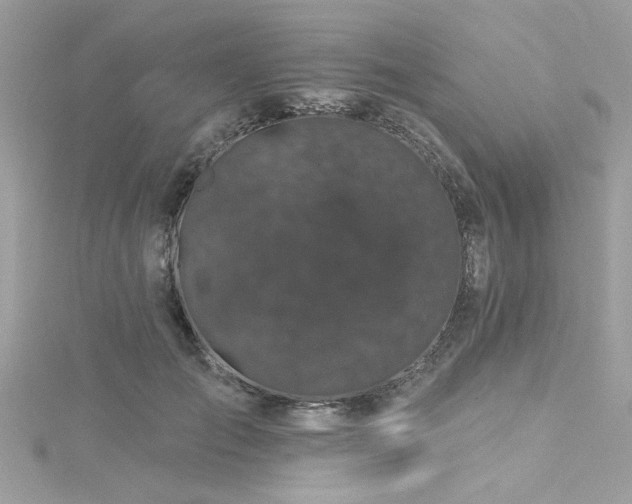 X0000116010701200911191525