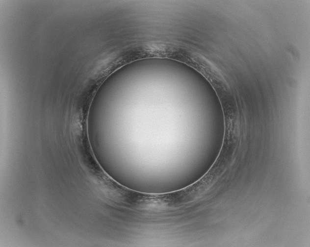 X0000116010702200911191525