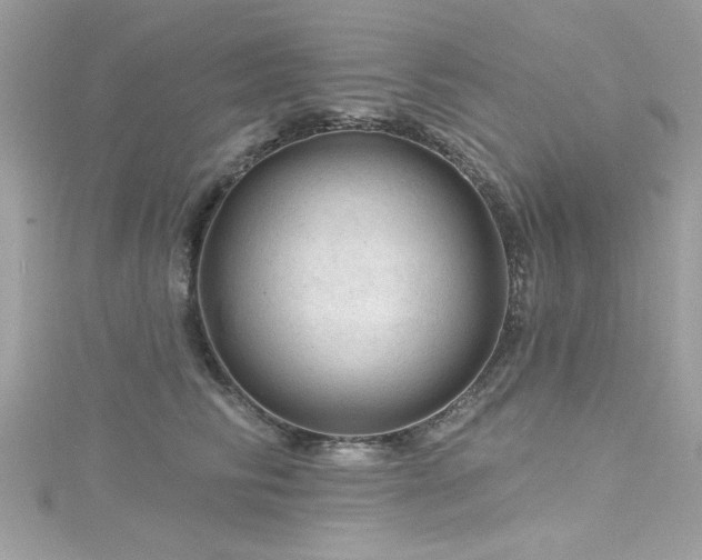 X0000116010710200911191525