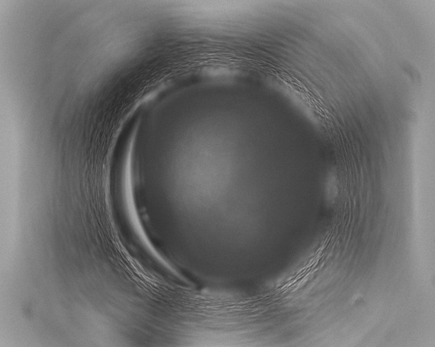 X0000116010722200911191524