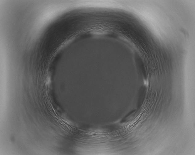 X0000116010723200911191524