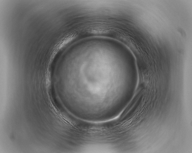 X0000116010727200911191524