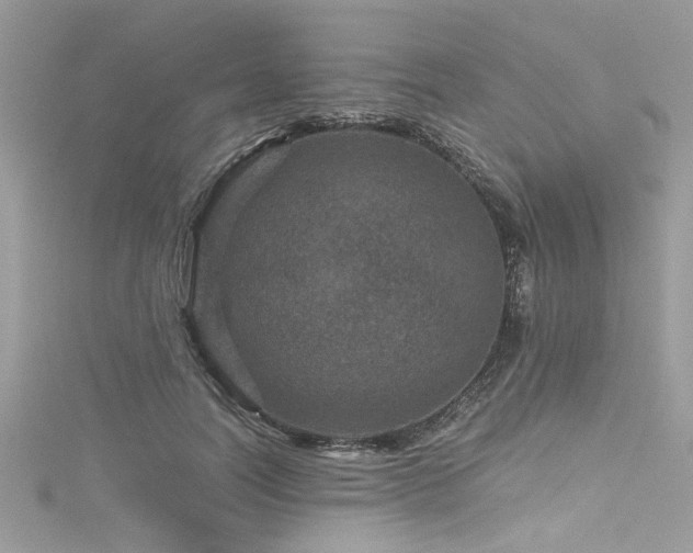 X0000116010746200911191524