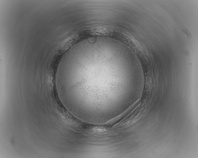 X0000116010749200911191525