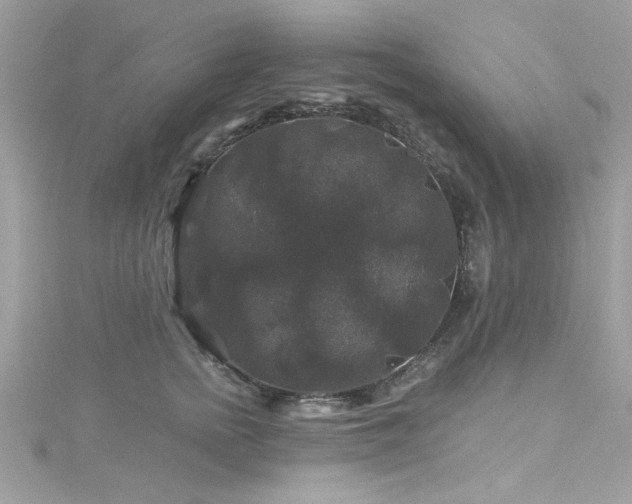 X0000116010758200911191525