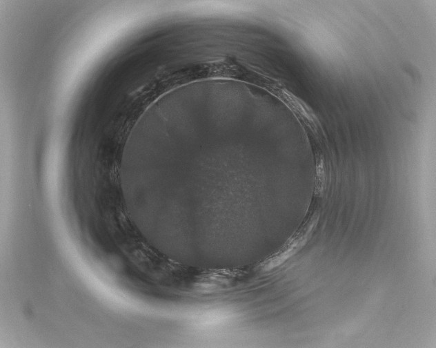 X0000116010765200911191525