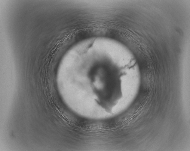 X0000116010769200911191524