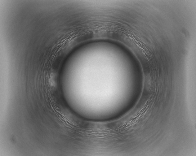 X0000116010770200911191524