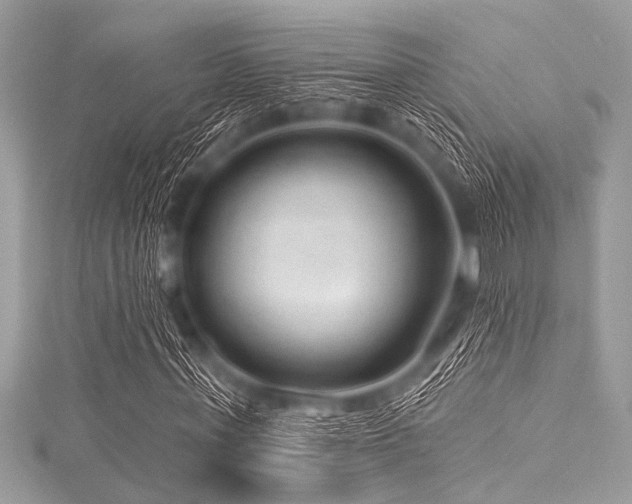 X0000116010771200911191524