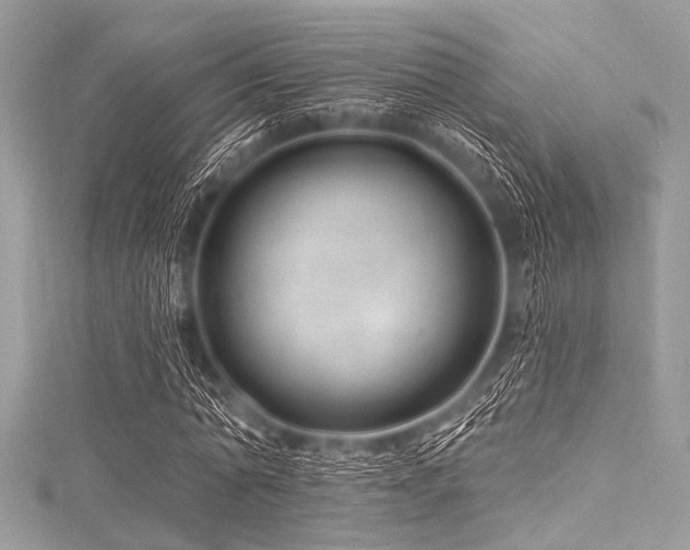 X0000116010774200911191524
