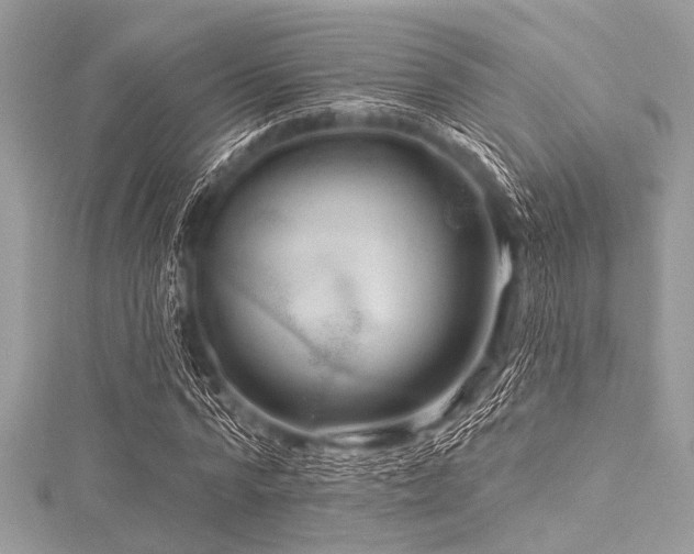 X0000116010776200911191524
