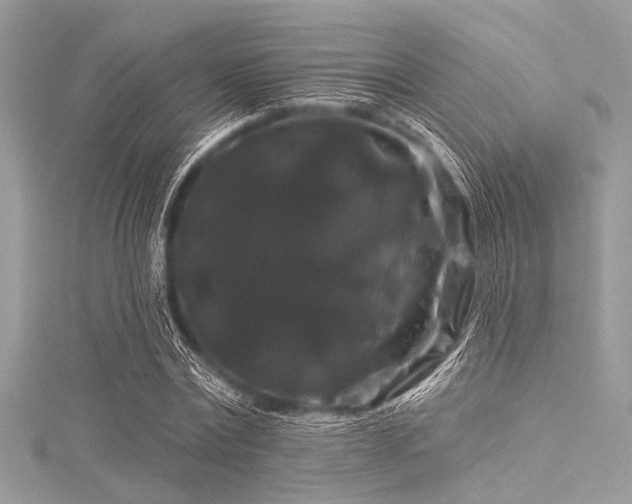 X0000116010779200911191524