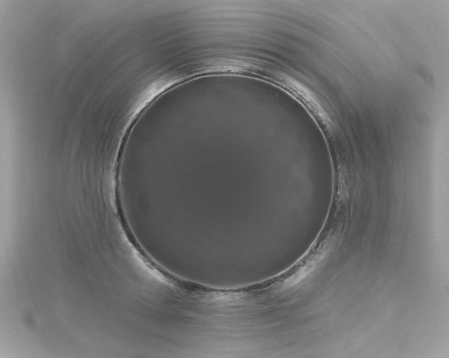 X0000116010802200911191524