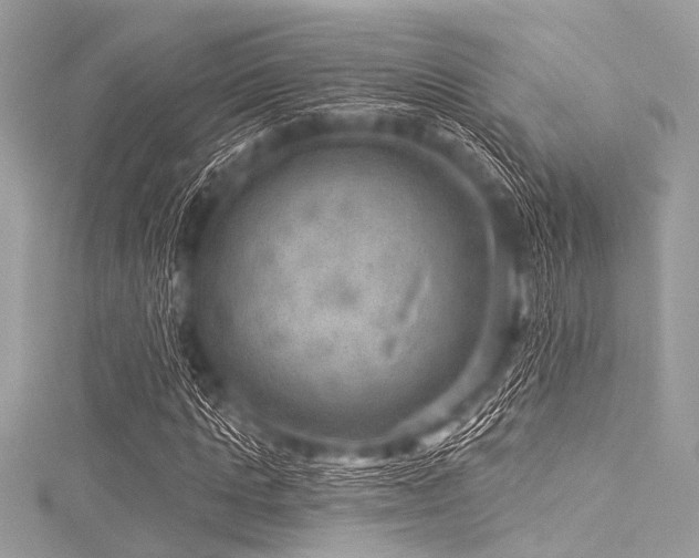 X0000116010821200911191523