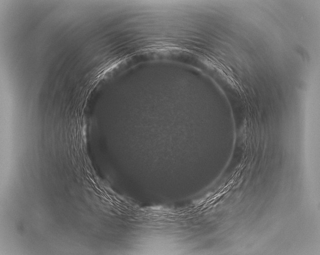 X0000116010822200911191523