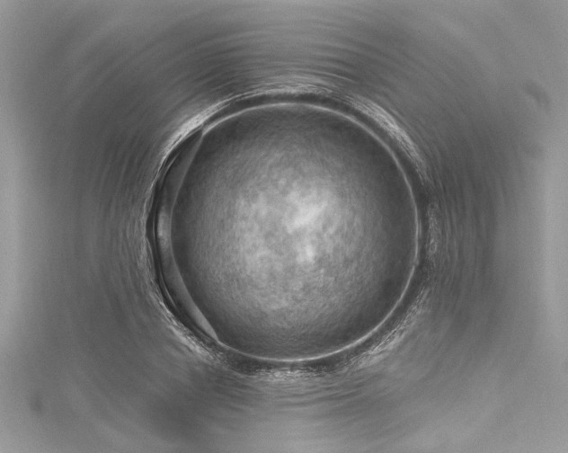 X0000116010834200911191523