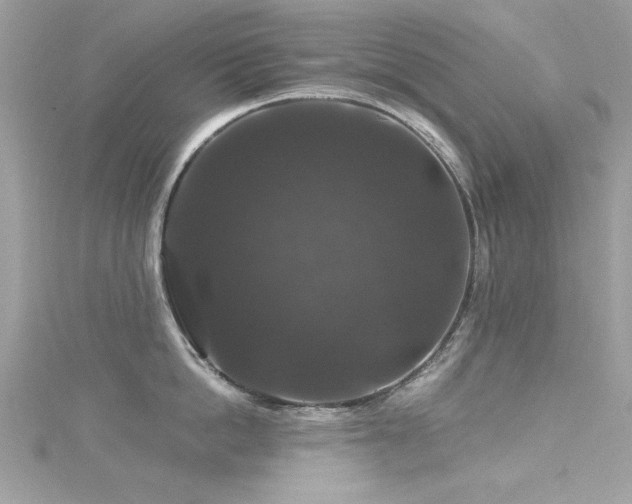X0000116010862200911191524