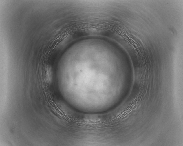 X0000116010866200911191523
